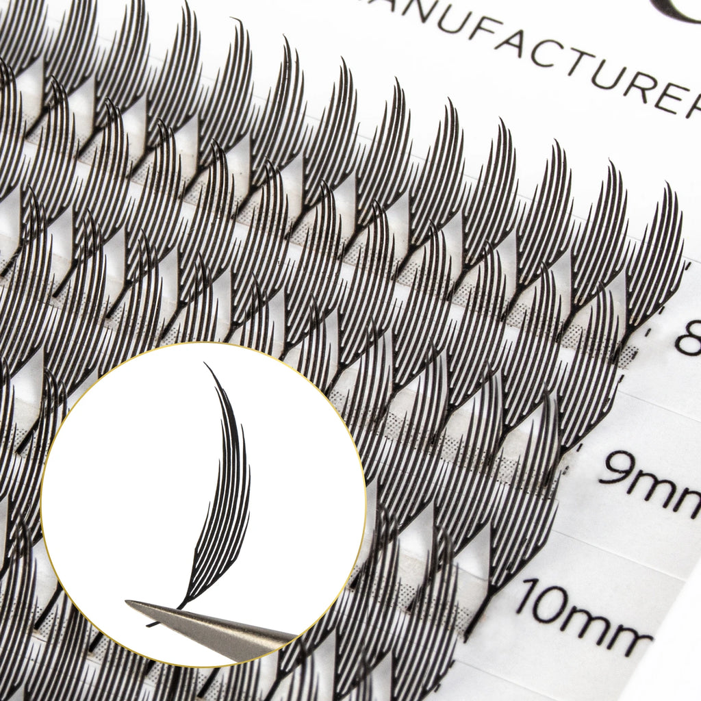 Befer Beauty Anime Lashes 240 Clusters Manga Style Feather Lash Flora Cat Eye Eyelashes 8-15mm C/D Curl Lash Extensions Supplier