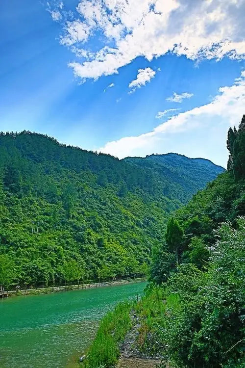 Shoe Cleaning Products Clean Slippers Cleaner Mobile Wipes for Trips Household Wipes Disposable Shoes Sneakers Merchandises Home